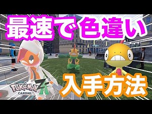 [Pokemon ZA] It's so easy! Learn how to get a shiny Zubat! Evolve it into Mega Zubat and use it i...