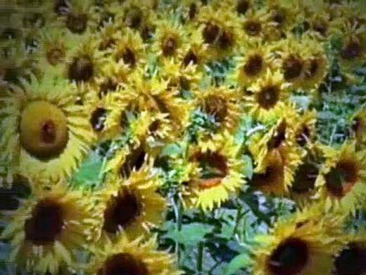 Baby Einstein S01E21 - Baby Van Gogh World of Colors (1)