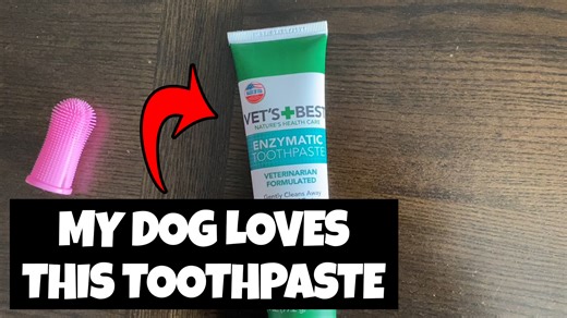 Watch The Vet’s Best Enzymatic Dog Toothpaste Works Amazing! on Amazon Live