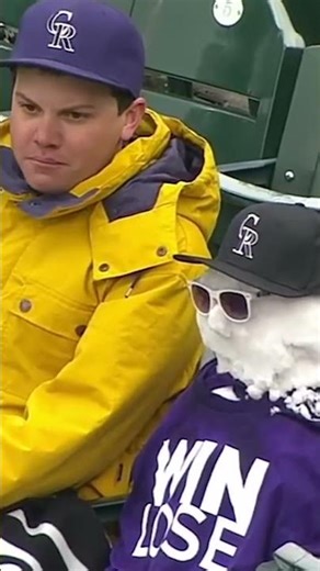 It's just a couple of flakes! 🤣