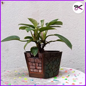 41K views · 759 reactions | Beautiful Planter DIY  #diy #cement #planter | RusticKraft | Facebook