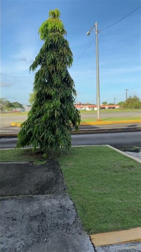 $100 to first person to correctly guess the thief of my iPhone as I FOLLOW with find my phone ￼ APP!