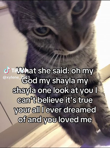 🖤✨𖤐Xylene𖤐✨🖤 (@xylene_2013)’s videos with son original - siri