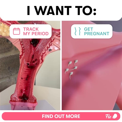 Understand your chances of getting pregnant with cycle tracking and fertility insights. 💗 | Flo Period Tracker App