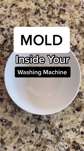 We don’t have mold- but here is how to tackle it if you do! 🦠 #cc #organizeit #deepclean #cleaning #mold #washingmachine #washingmachineclean #clean