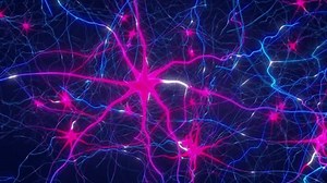 clip-1103958837-neurons-known-neurones-nerve-cells-neuronal-firing
