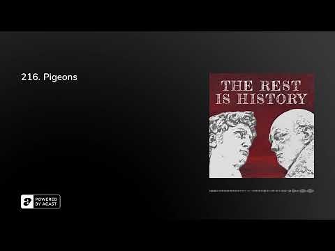 216. Pigeons