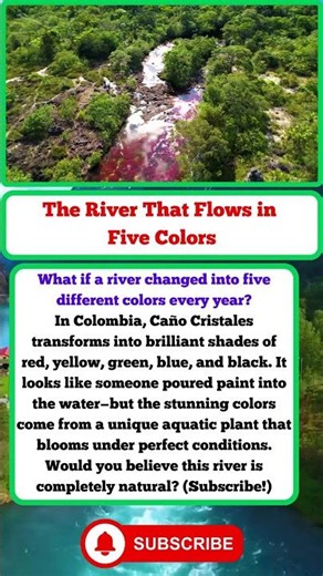 #CanoCristales #NatureFacts #AmazingPlaces #GeographyFacts #ViralFacts