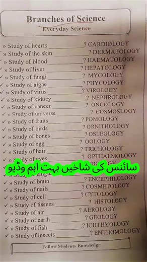Branches of Science Explained: Expand Your Knowledge