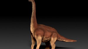 Sauropods had soft foot pads to help support their massive weight