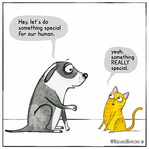 Special gifts... lovely guitar by my hubby! | Red and Howling