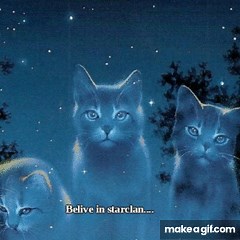Warrior cats belive on Make a GIF