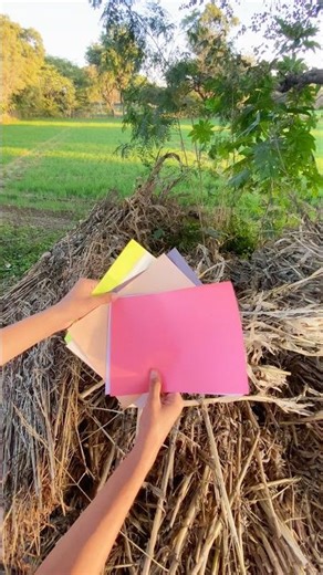 Easy Origami - चारे के बीच ये क्या मिल गया? 😱✈️