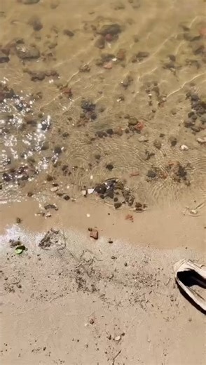 🏊‍♂️La más linda del mundo se vive por LT10. 🌊🔥 Todo lo que pase en Santa Fe–Coronda desde la largada hasta la llegada 📻Información durante toda el día por la radio, 📱Minuto a minuto en redes 🖥️ Toda la información actualizada en la web. | LT10