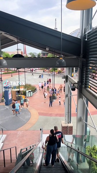 Experience Universal Studios: Day to Night Adventure