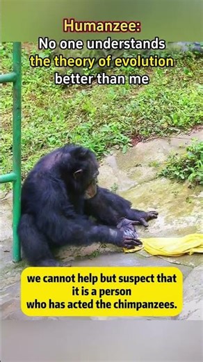 【Humanzee: No one understands the theory of evolution better than me】