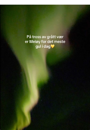 Ja vi elska Bodø/Glimt💛 Lykke til i Lisboa i kveld!