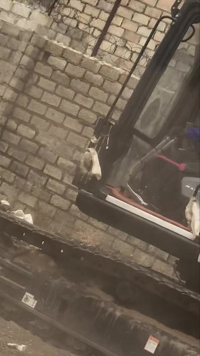 1.3K views · 26 reactions | #ARE_YOU_A_LADY? What are you waiting...