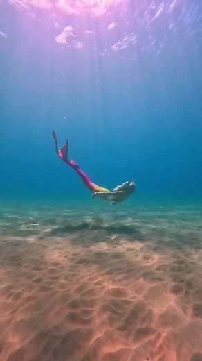 Mermaid Aqualina on TikTok