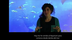 De dónde viene la sal del mar