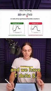 Gibbs Free Energy: Endergonic vs Exergonic #organicchem