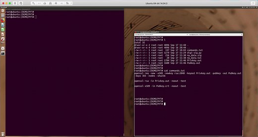数字签名 使用Python脚本进行签名和验证