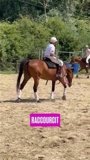 Et si tes pensées augmentaient déjà le stress de ton cheval… avant même tes aides ?