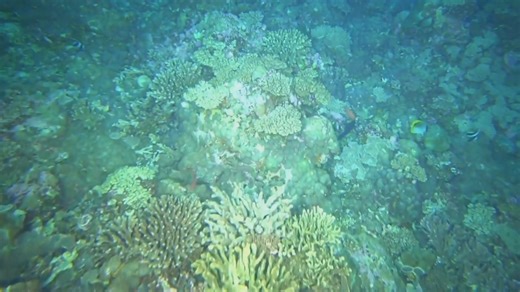 27K views · 368 reactions | Australian scientists have discovered an underwater mountain taller than Kosciusko. | Sky News Australia | Facebook