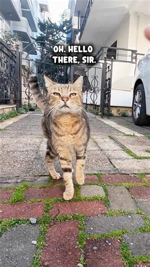 Judged and then rejected 🥺