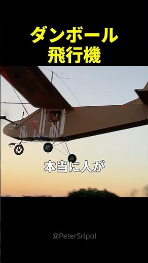 I built a plane out of 100% cardboard and actually flew it lol