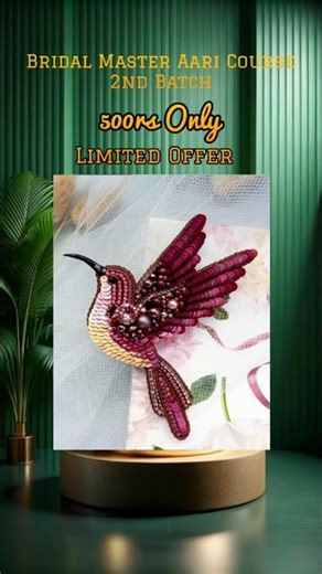 3d bird brooches.master aari course