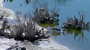 Mistake in the Lake: Record ‘forever chemicals’ levels at lake | News Channel 3-12