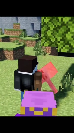 Bedrock Skeleton VS Java Skeleton 💀 #shorts #memes #kikakim