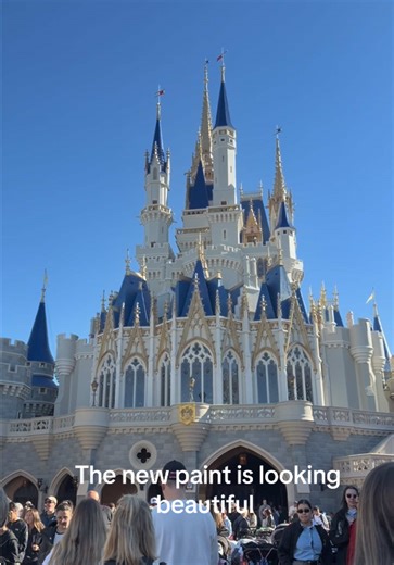 Discover the Magical Beauty of Disney's Pink Castle