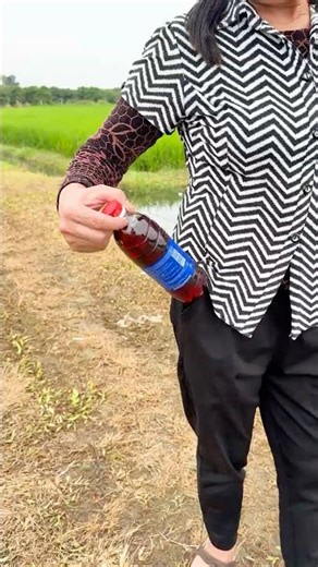 The guy show AMAZING Smart and Useful in Forest #bushcraft #survival #Outdoors #skills