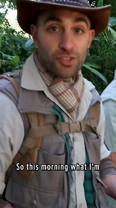 18K views · 200 reactions | Man vs bird: eating contest! #contest #birds #animals #bravewilderness | Brave Wilderness | Facebook