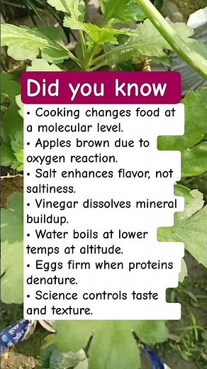 Food Science Explained Simply