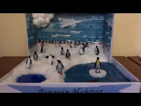 Penguins habitat diorama project for school project