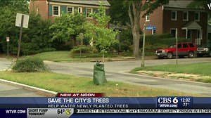 Richmond needs help keeping thousands of trees alive this summer