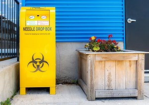 States where syringe exchanges are most prevalent