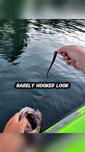 shorts sout bass catch and release 😭