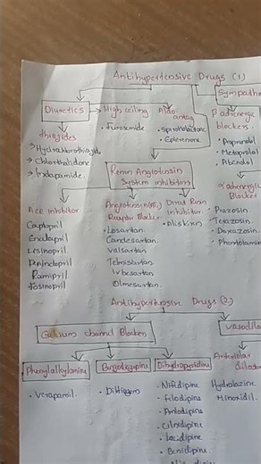 antihypertensive drugs pharmacology