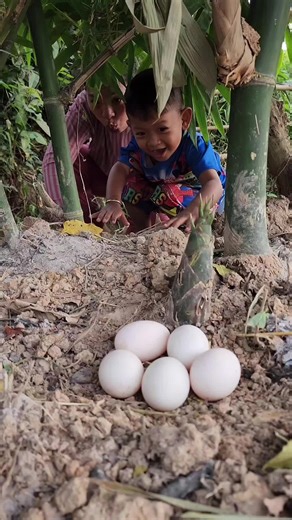 Survival Skills: Essential Bushcraft Cooking Techniques