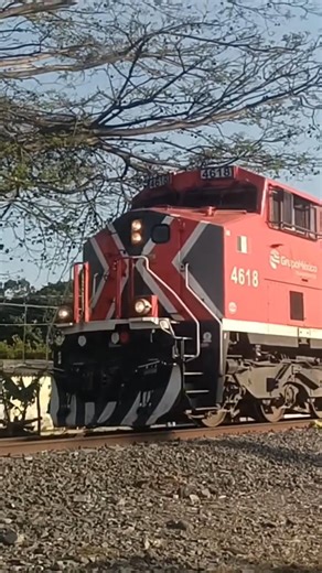 (I-MZMX-FXE)(Vídeo Completo Disponible)#ferromex #train #railway