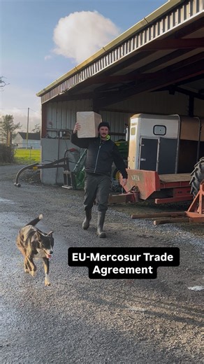 Séaghan Ó Súilleabháin | EU-Mercosur Trade Agreement | Instagram