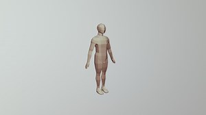 Human Body Base Mesh - Download Free 3D model by 3Dimentional (@insectscorch)