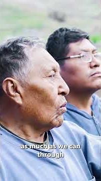 Why are many Indigenous languages endangered?