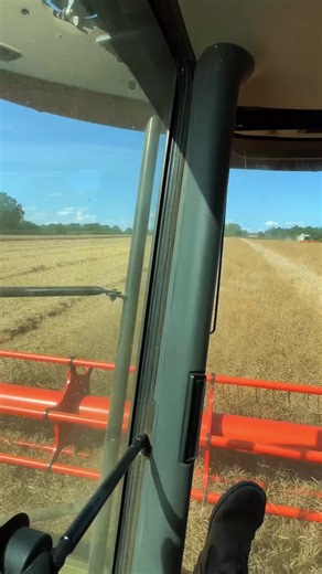 British Farming Insights for 2025 Season