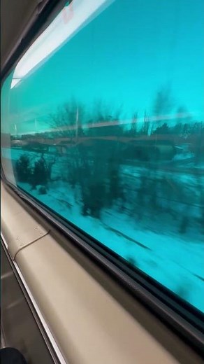 Riding Metra Train in Elgin, IL | Viaje en Tren en Elgin, IL #railrider #trainjourney #trains