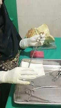 Endometrial Sampling | Part 1 | Dr. Shahlla Masood Rao